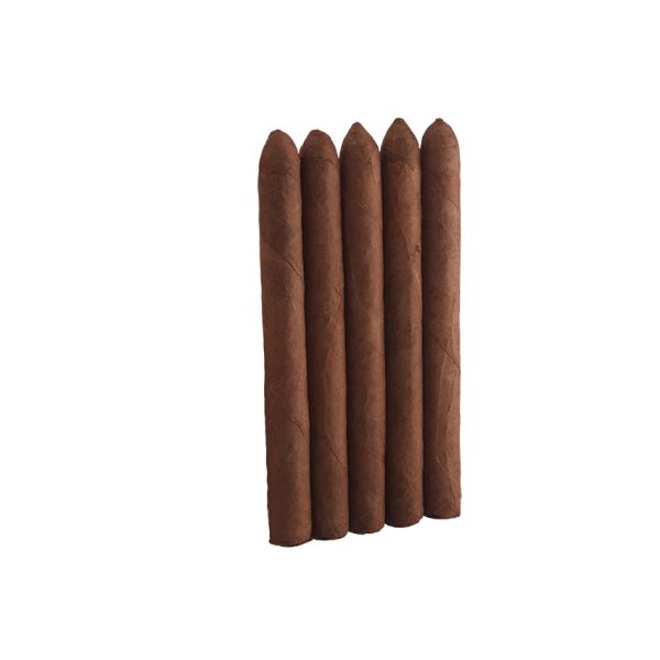 Arturo Fuente Curly Head 5 Pack