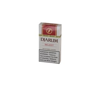 Djarum Select Filter Cigar (12) Cigar Sample