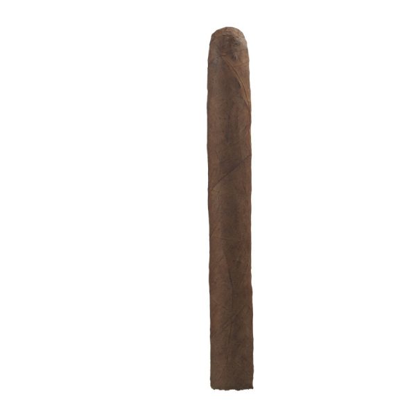 Gran Habano Fumas Double Coron Cigar Sample