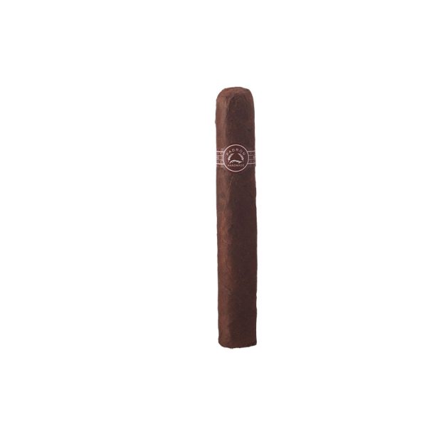 Padron 2000 Natural Cigar Sample