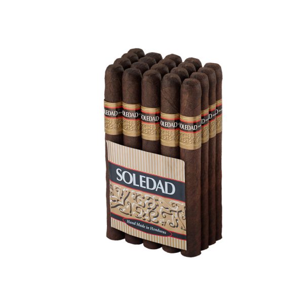 Soledad Toro Maduro